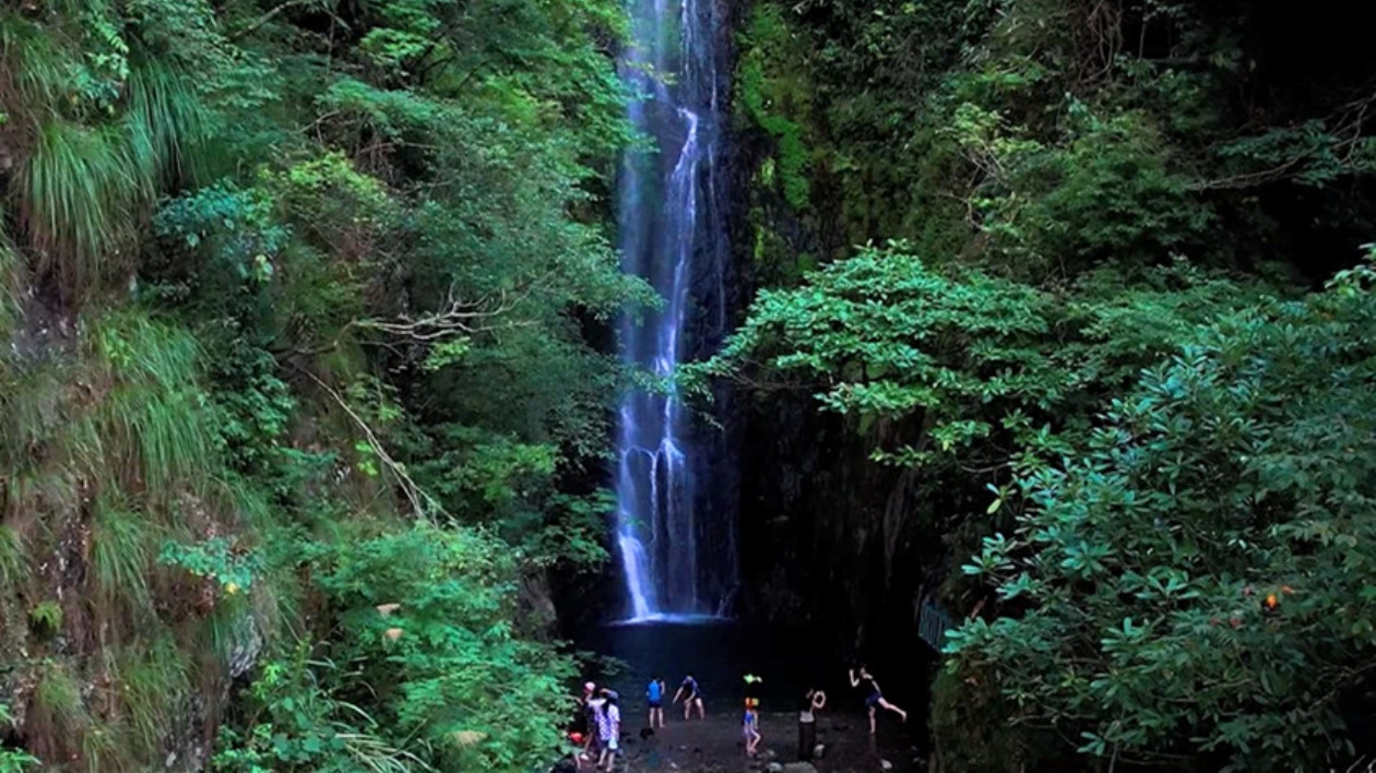 皖休寧縣：一道飛瀑  萬人競(jìng)赴