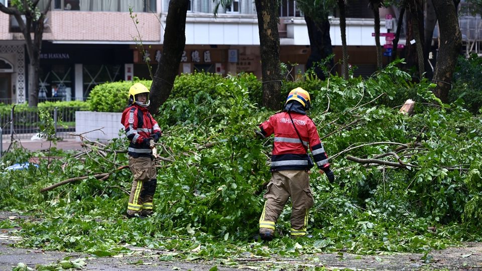 記者手記｜為香港速度點(diǎn)讚
