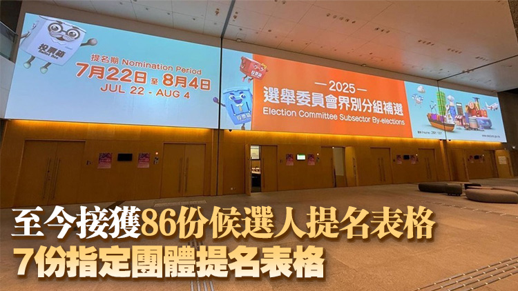 選委會補選今日接獲24份提名表格