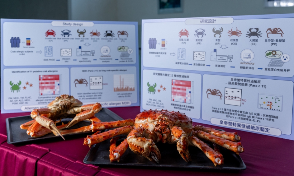 中大：11種與蟹過敏相關(guān)致敏原 皇帝蟹具獨有致敏原