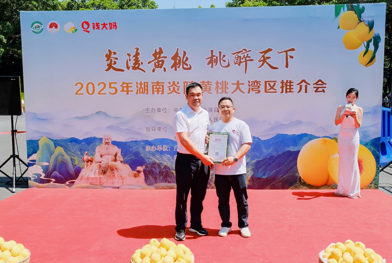 地理標誌「炎陵黃桃」登上廣州地標白雲山 錢大媽助力大灣區(qū)實現「早晨採摘下午嘗鮮」