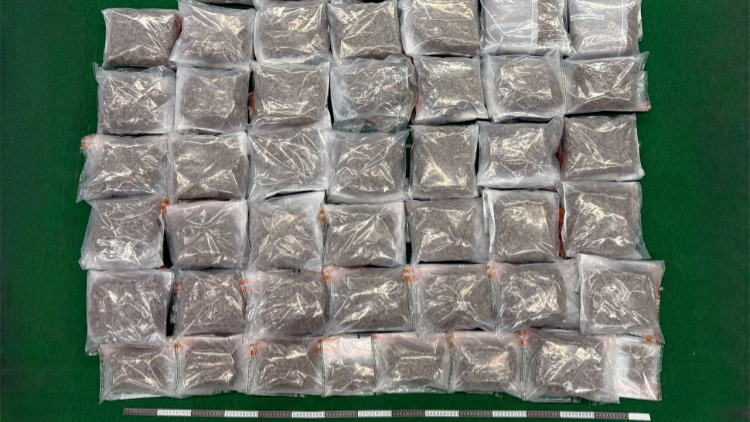 涉偷運(yùn)約值880萬元大麻花入境 6名男女被捕