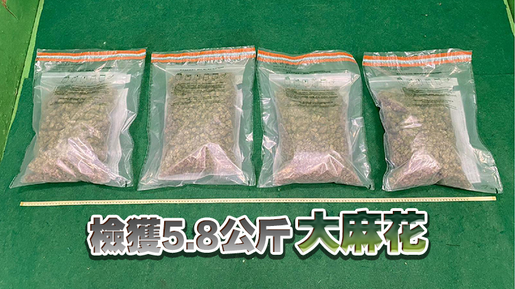 海關葵涌檢值120萬元懷疑大麻花 拘捕28歲男子