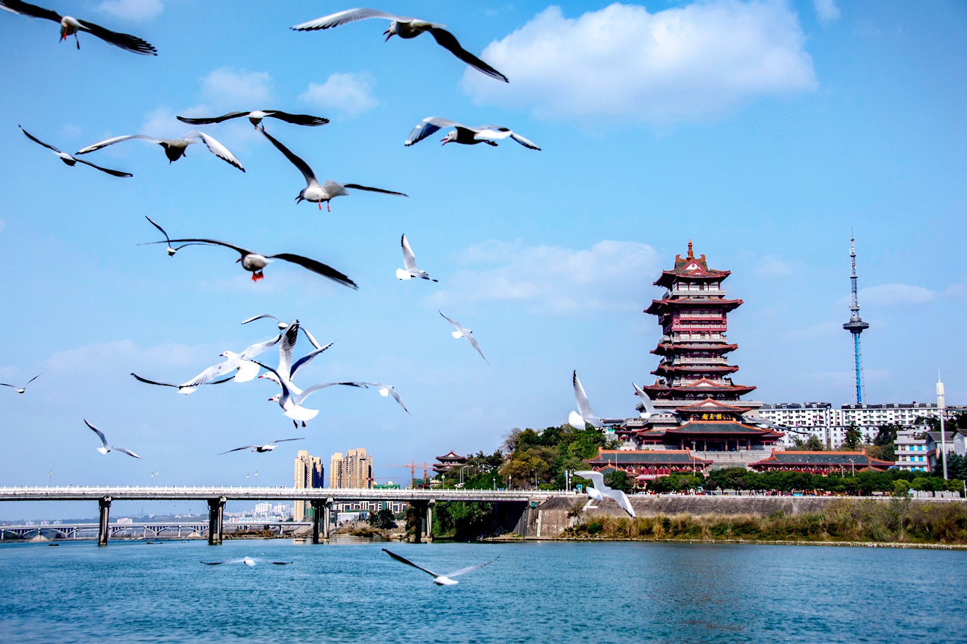 四川綿陽(yáng)遊仙：以作風(fēng)建設(shè)「組合拳」激發(fā)乾事創(chuàng)業(yè)「全動(dòng)力」