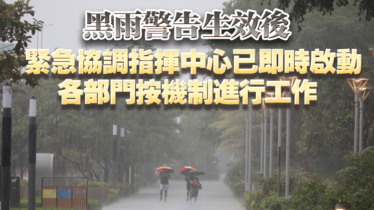 陳國(guó)基：當(dāng)局應(yīng)對(duì)極端天氣的機(jī)制行之有效