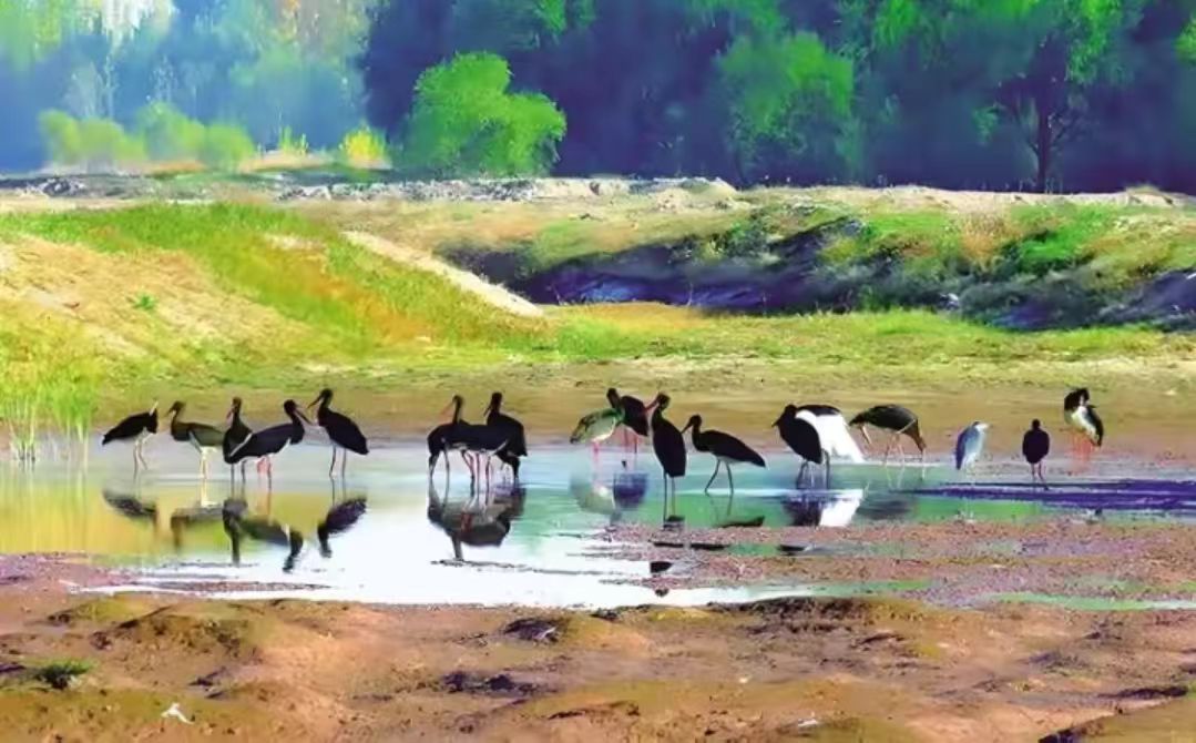 山西晉中：繪青綠畫卷 築生態(tài)屏障