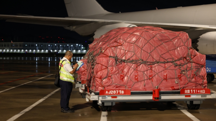 超2.5萬噸 深圳機(jī)場旺季荔枝運(yùn)輸量創(chuàng)歷史新高