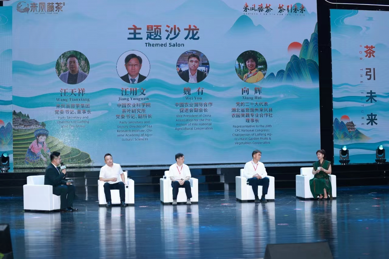 跨山海、聯(lián)世界！第三屆來鳳國際藤茶大會開幕