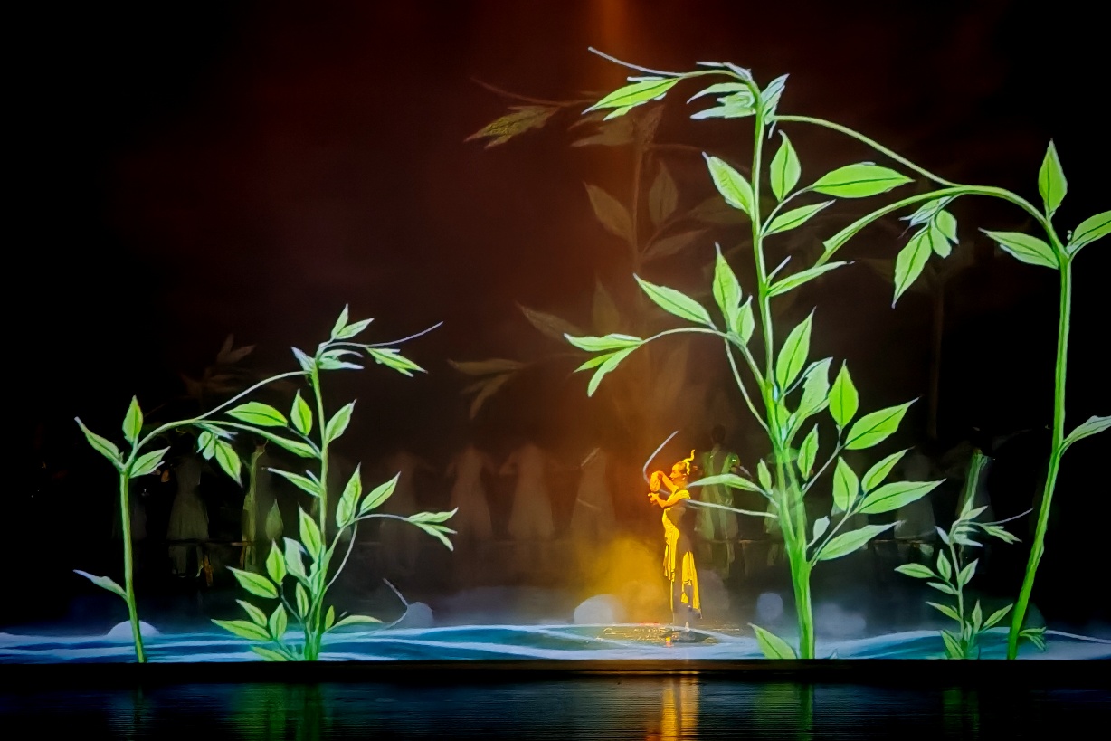 來鳳藤茶之夜：一盞新茶照見鄂西小城的山河氣韻