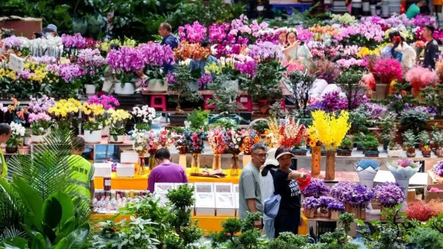 生機(jī)盎然的斗南花卉市場(chǎng)