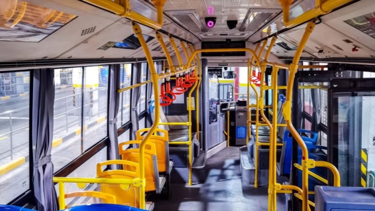 深圳新增兩條「文旅專線」！吃喝逛玩「一條龍」