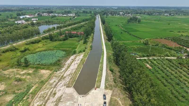 河南息縣：打響165萬畝秋糧保衛(wèi)戰(zhàn) 干群合力抗旱保豐收