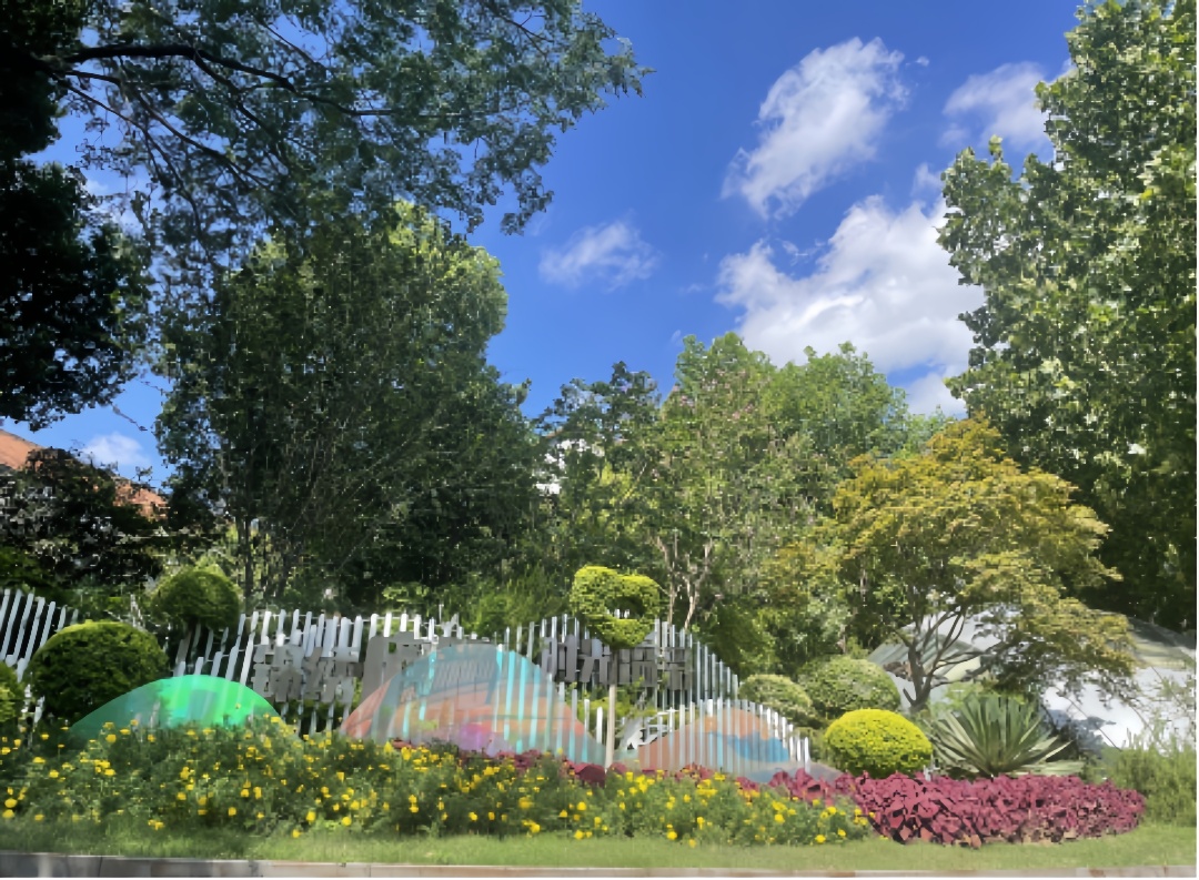 合肥廬陽(yáng)：以「繡花」功夫打磨城市細(xì)節(jié)