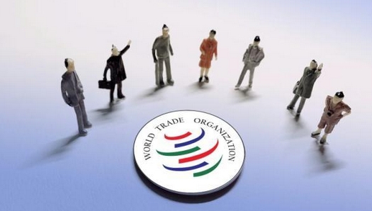 巴西就美加徵關(guān)稅向世貿(mào)組織提請(qǐng)磋商 