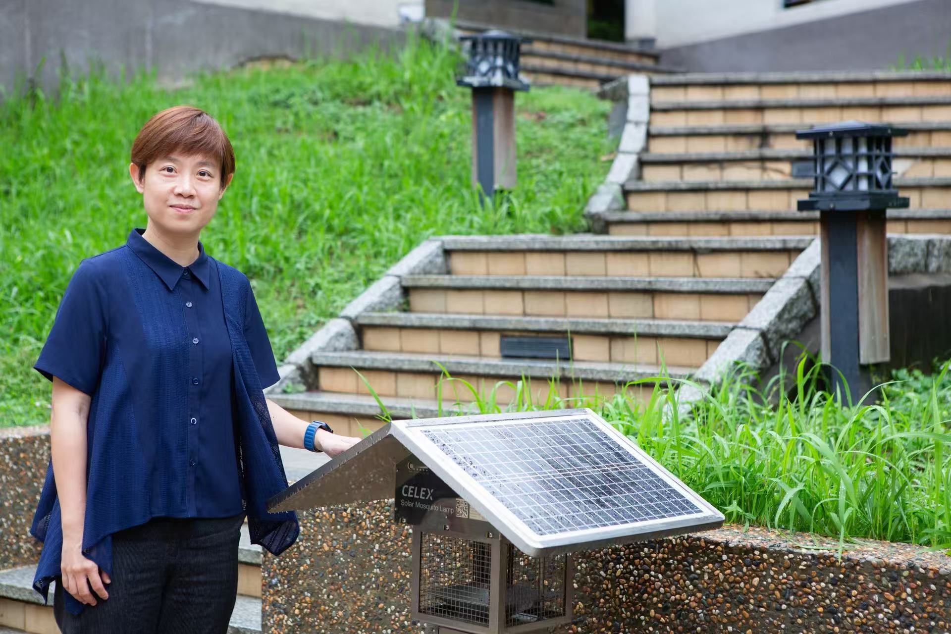 助防基孔肯雅熱 嶺大首創(chuàng)蚊患預(yù)報系統(tǒng)