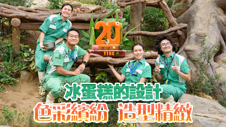 海洋公園為大熊貓盈盈和樂(lè)樂(lè)送上美食 慶祝20歲生日