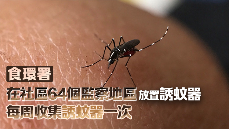 8月白紋伊蚊誘蚊器指數(shù)：屯門掃管笏最高達(dá)16.4%