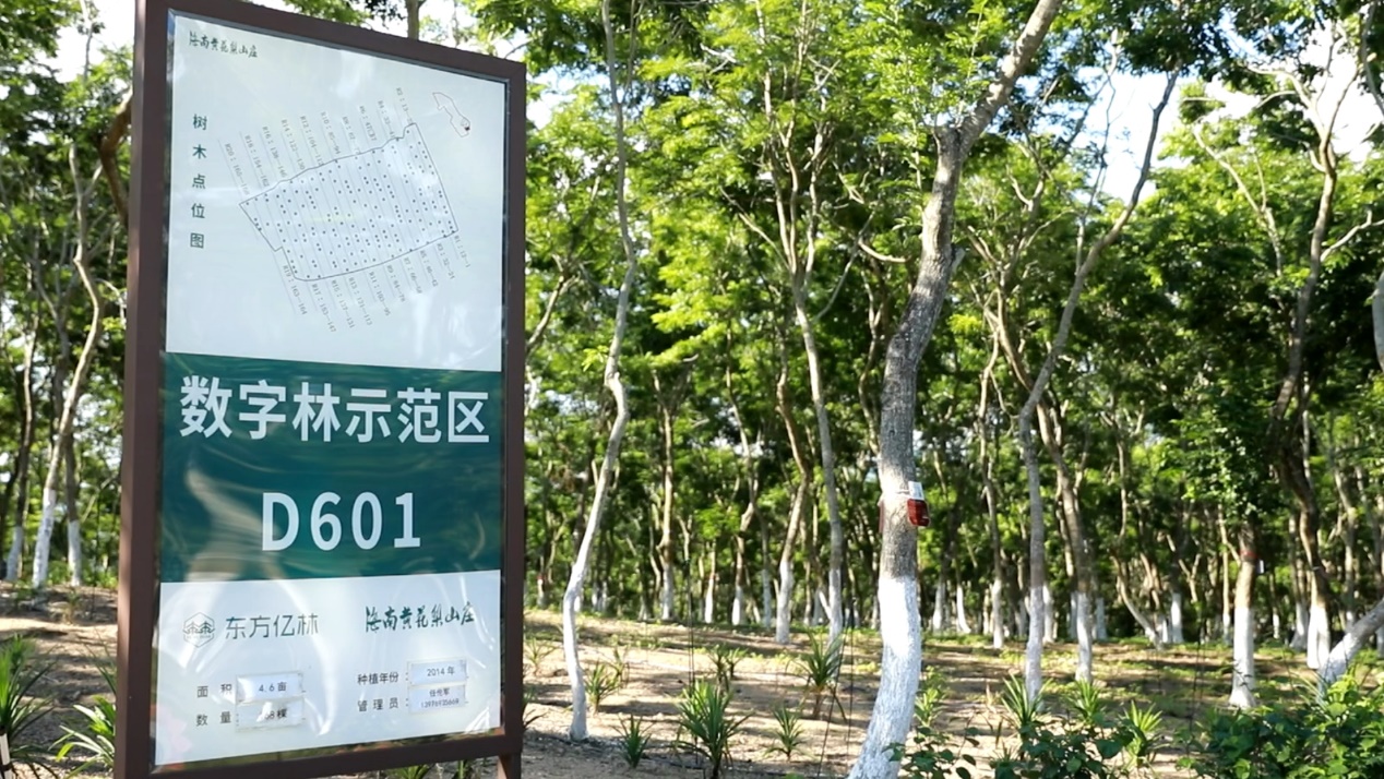 香港上市公司洪橋集團(tuán)與海南東方億林簽署戰(zhàn)略合作備忘錄，擬發(fā)行RWA通證