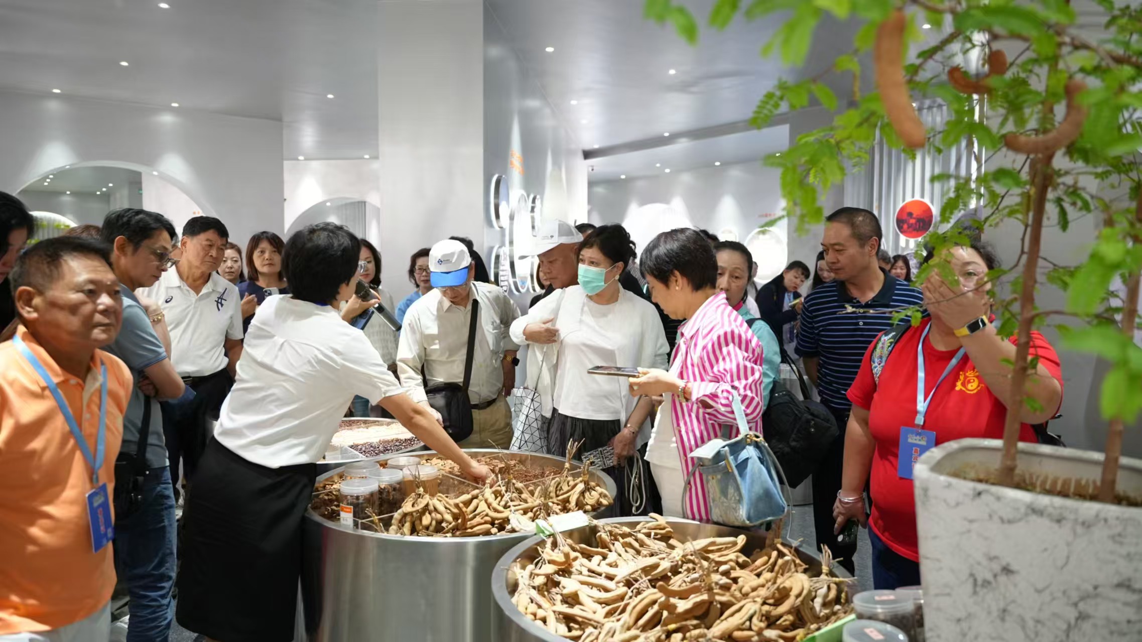 心手相連臺(tái)商組團(tuán)走進(jìn)玉溪  以經(jīng)貿(mào)合作促兩岸交流