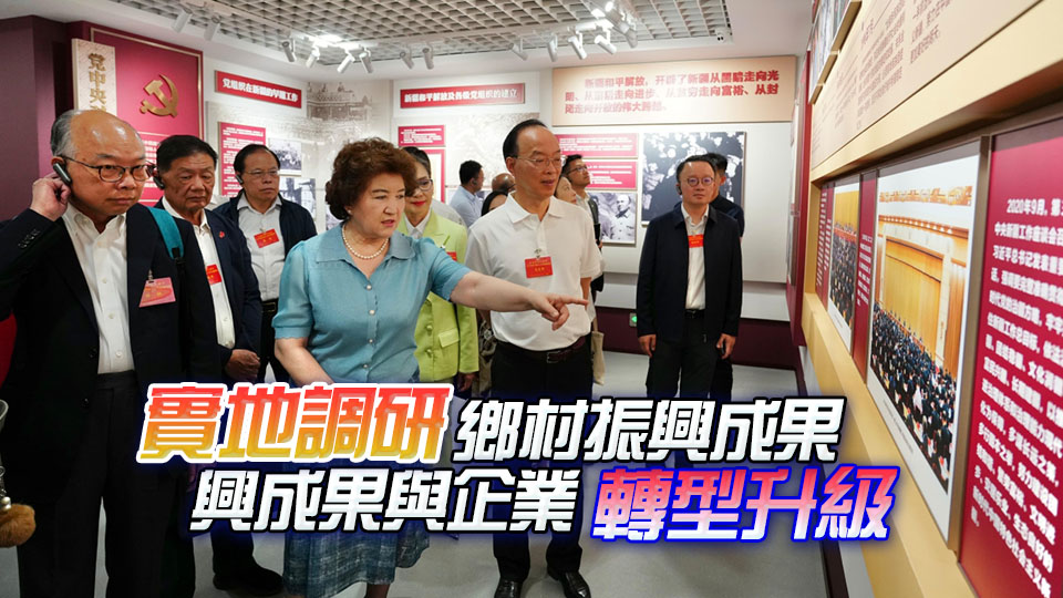 港區(qū)人大代表新疆行 見證高質(zhì)量發(fā)展與民生改善的生動(dòng)實(shí)踐