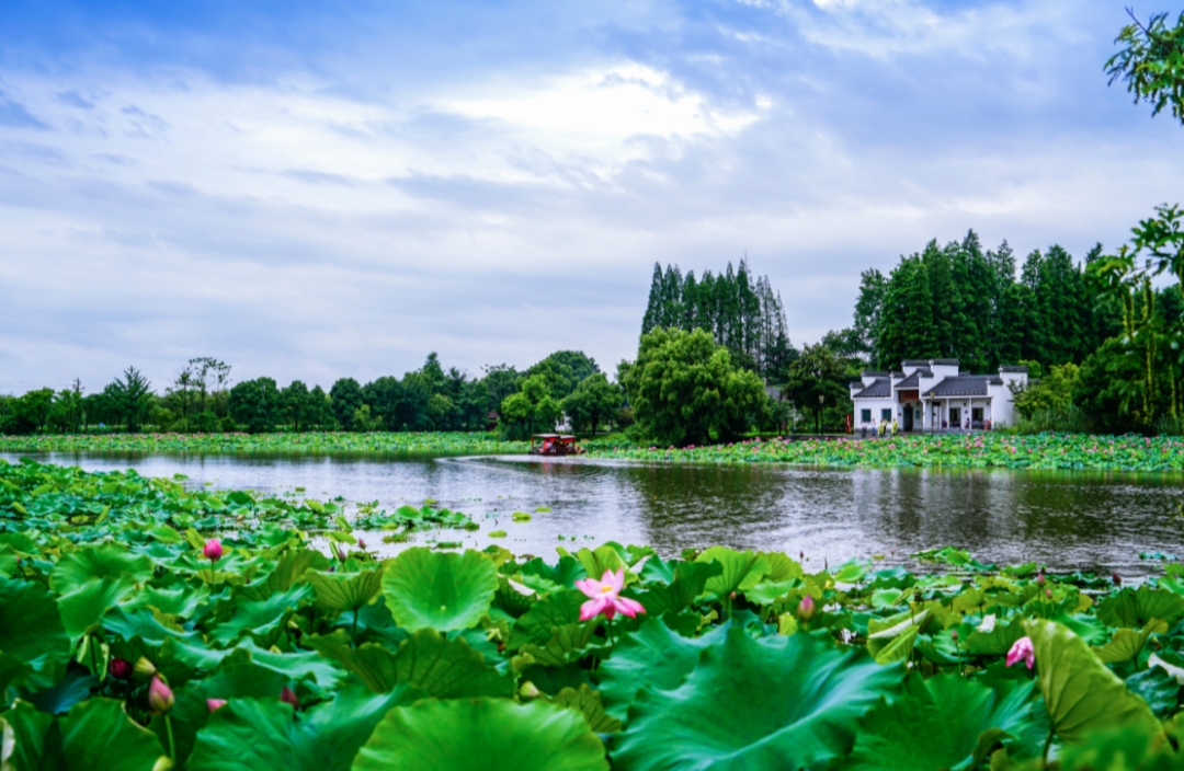 外交部趙立堅兩度推介的蕪湖有多美