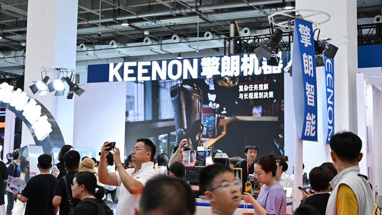 用來(lái)玩還是讓它幹活？中國(guó)具身機(jī)械人兩大「天王」略顯分歧