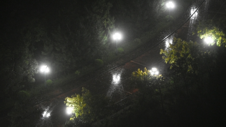 「楊柳」成為有記錄來(lái)第73個(gè)在閩「二次登陸」的颱風(fēng)