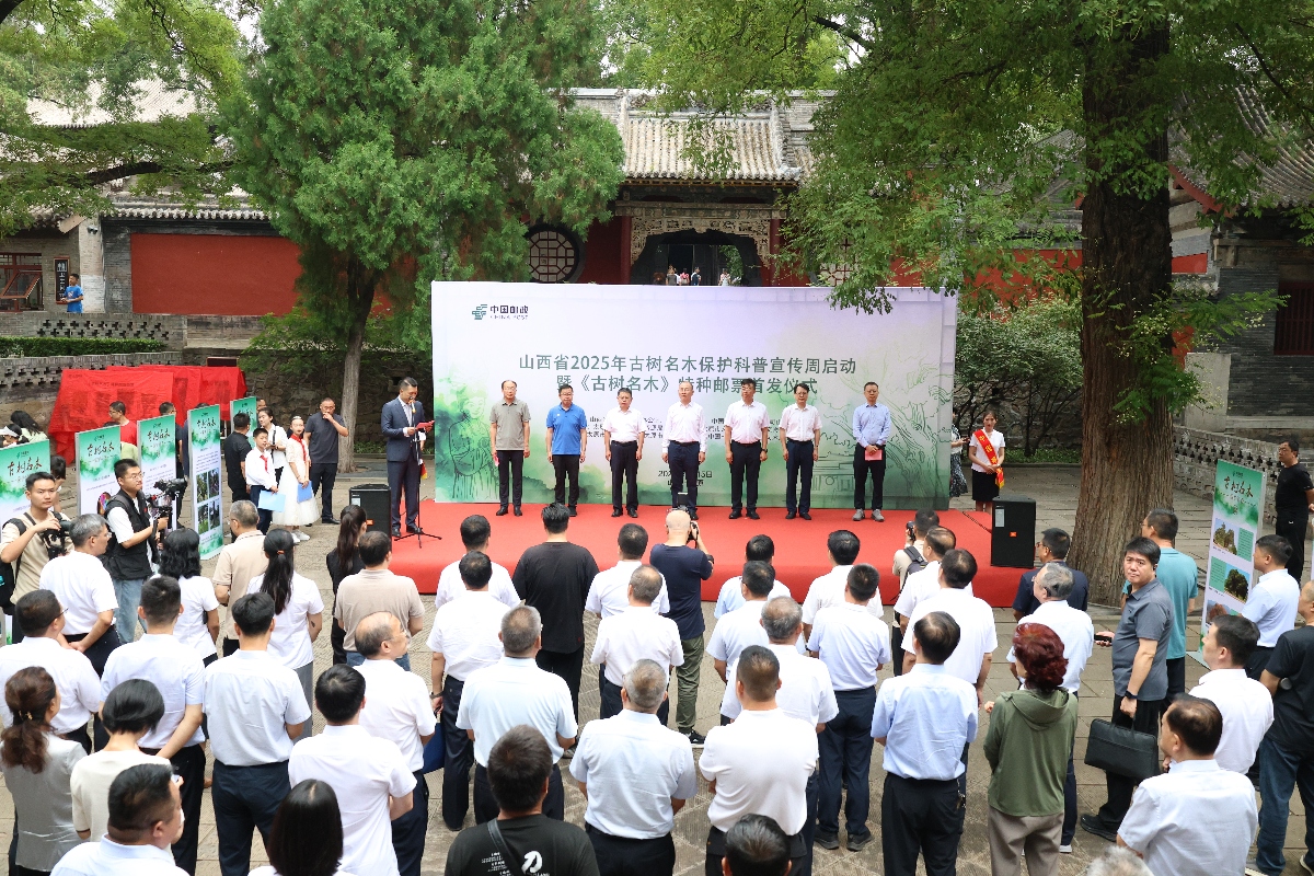 山西《古樹名木》特種郵票首發(fā) 10萬株古樹有了「護(hù)身符」