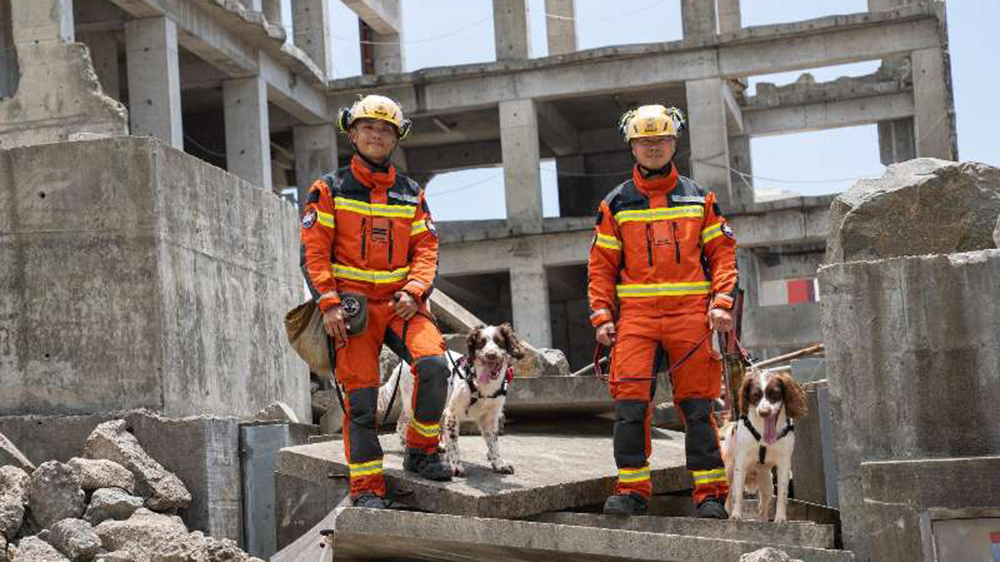 有片｜消防犬與領(lǐng)犬員合作無(wú)間 獲行政長(zhǎng)官表?yè)P(yáng)榜嘉許