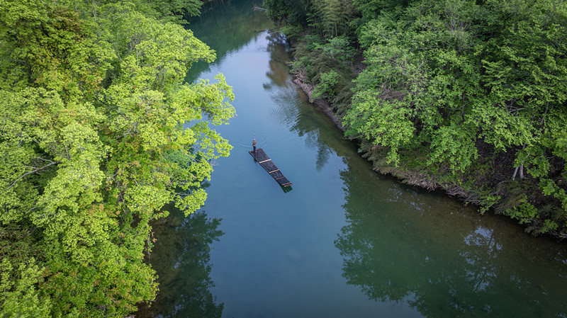 皖黟縣美溪：厚植生態(tài)本底  打造「氧」護(hù)之旅