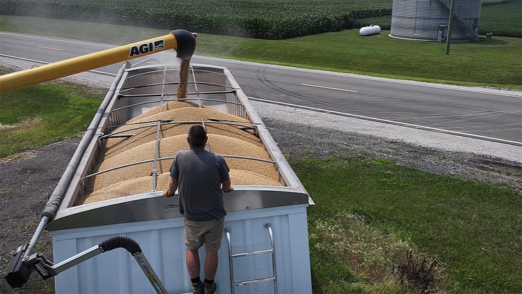 美大豆協(xié)會(huì)呼籲盡早同中國(guó)達(dá)成協(xié)議緩解豆農(nóng)危機(jī)