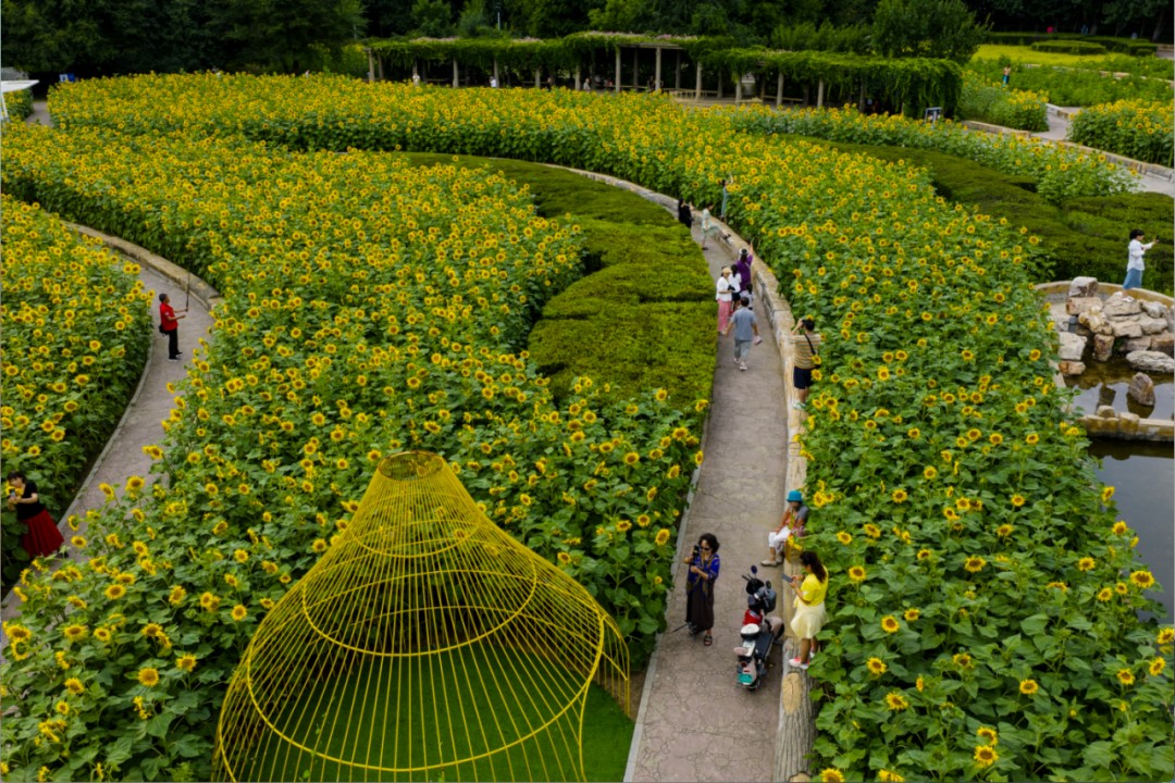 節(jié)氣專稿丨陳耀輝：處暑