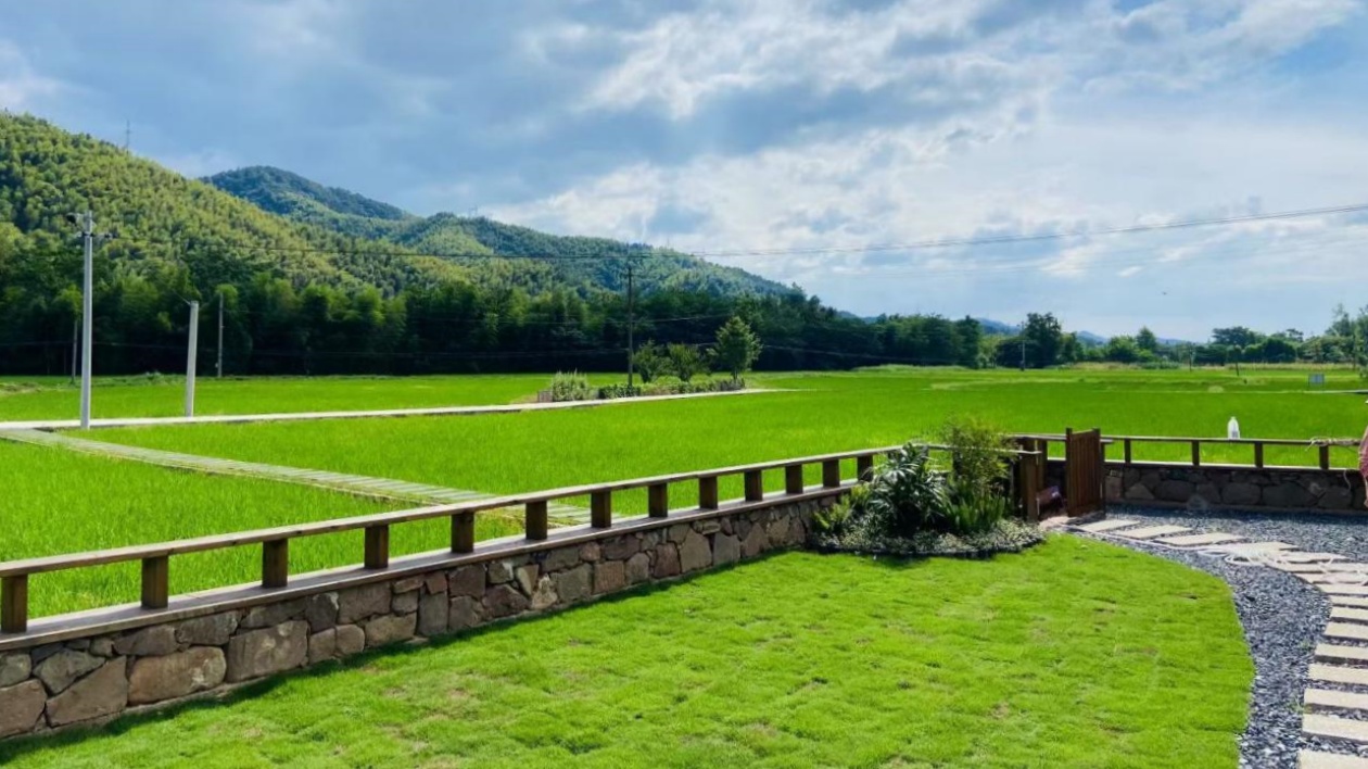 皖黟縣漁亭鎮(zhèn)：科技服務(wù)到田間 水稻種植「有靠山」