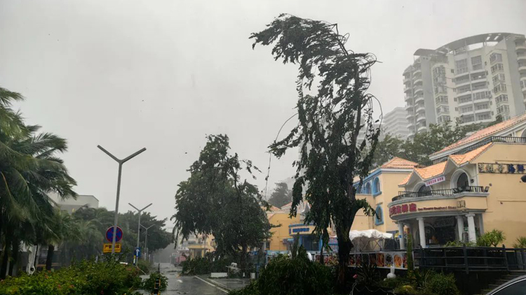 海南多地被「吹?！?！颱風(fēng)「劍魚」有多兇悍？