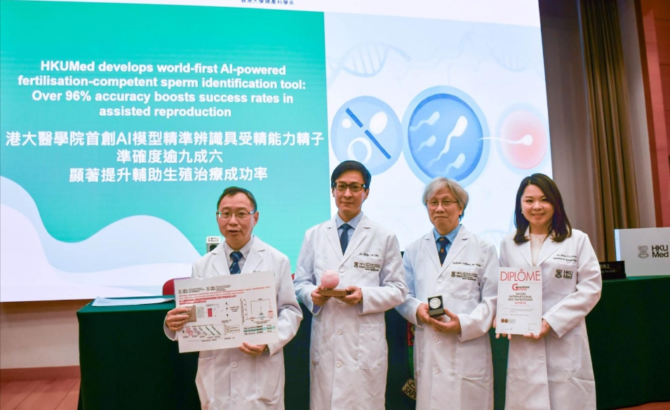 港大醫(yī)學(xué)院首創(chuàng)AI模型 精準(zhǔn)辨識(shí)具受精能力精子 準(zhǔn)確度逾九成六 