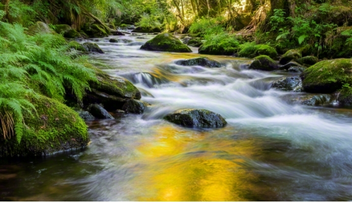 【名家看靖安】傅菲：面對(duì)一條清澈見(jiàn)底的長(zhǎng)河，我是無(wú)知的