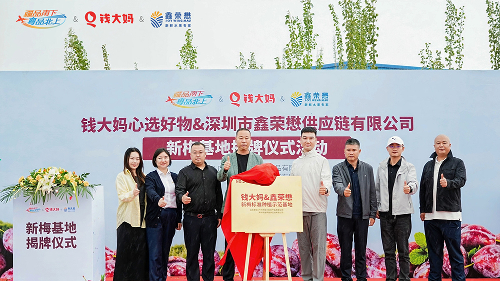 推動「疆品南下」提質(zhì)升級 錢大媽攜手鑫榮懋新疆共建西梅基地