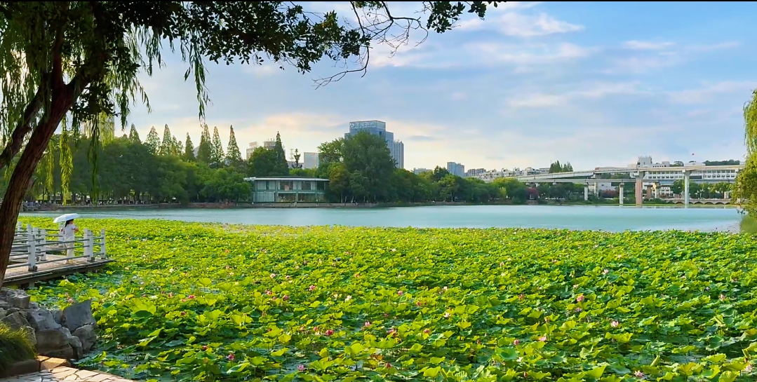 蕪湖：市委書記掛帥 打響生態(tài)環(huán)境保衛(wèi)戰(zhàn)