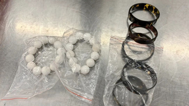 皇崗旅客攜玳瑁硨磲手串闖關(guān) 涉違瀕危野生動(dòng)植物進(jìn)出口管理?xiàng)l例