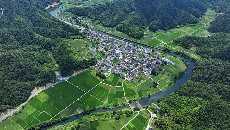 皖休寧商山鎮(zhèn)：持續(xù)擦亮「稻香阜田」品牌