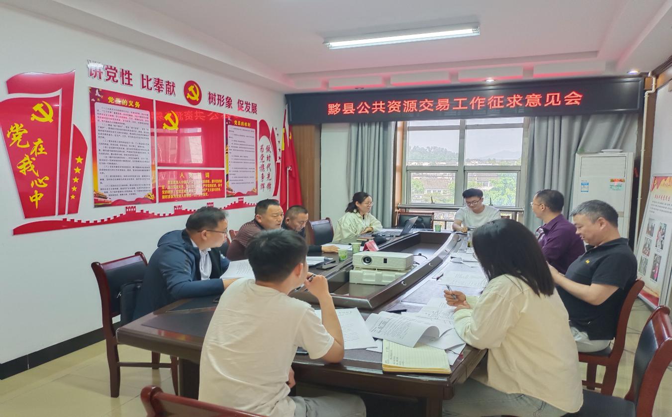 皖黟縣：「四全服務(wù)」繪就公共資源交易新畫卷