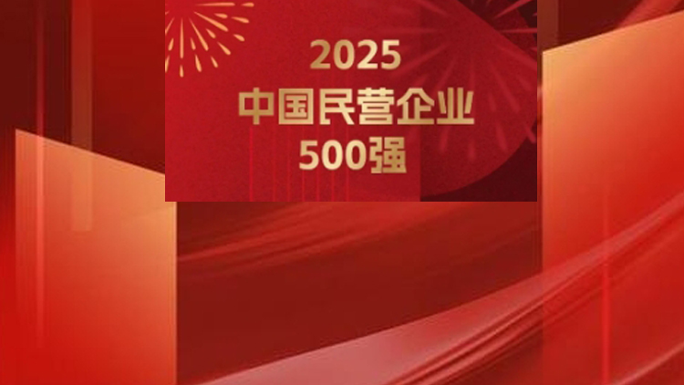 2025民營企業(yè)500強揭曉：京東、阿里巴巴、恒力排前三