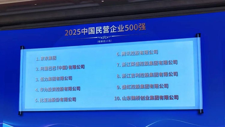「2025中國民營企業(yè)500強(qiáng)」榜單發(fā)布 騰訊納稅592億居首位