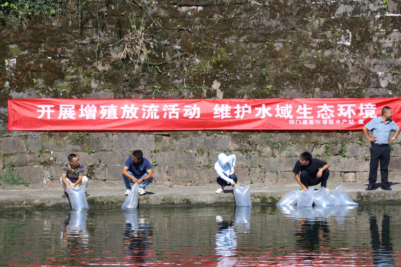 30萬尾魚苗「遊」進(jìn)閶江河！皖祁門縣增殖放流持續(xù)為生態(tài)賦能