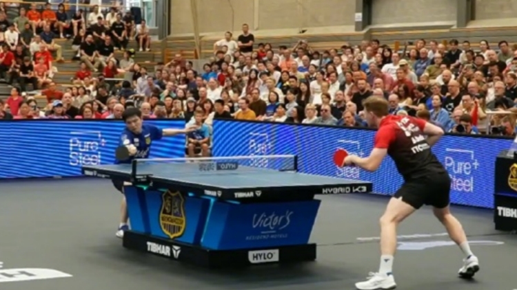 樊振東於第二場(chǎng)德甲比賽中落敗