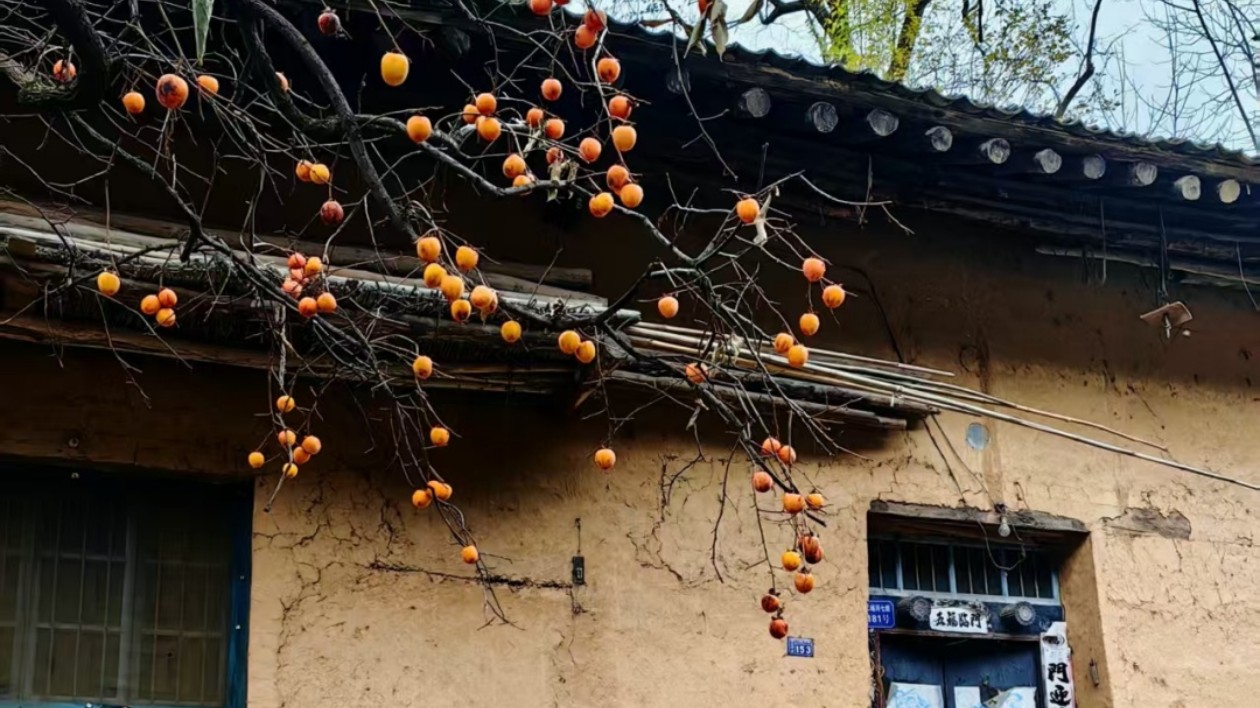 【長(zhǎng)在隨筆】錢鍾書的《窗》