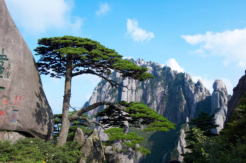 黃山來客享專屬折扣  徽商故里惠策邀客