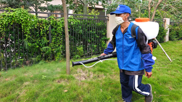 中交二航局東莞除蚊行動(dòng) 央企工程兼顧民生獲贊