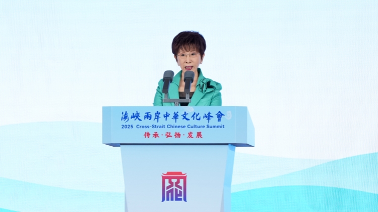 洪秀柱出席閱兵式：抗戰(zhàn)勝利是全民族共同記憶