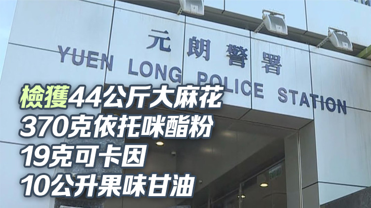 警方大埔搗破毒品儲存?zhèn)}拘1男 檢值1000萬元毒品